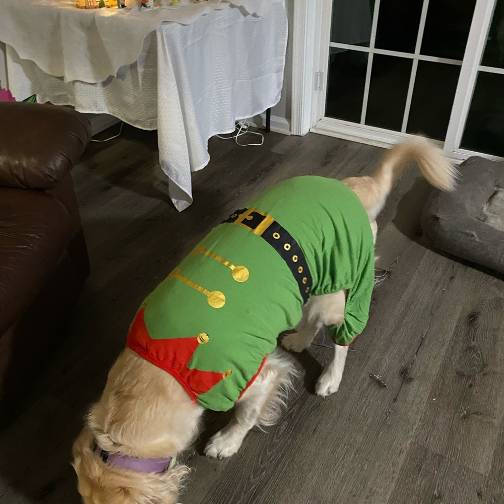 Holiday dog clothes Lot for medium size dog lab retriever pajamas Star Wars elf